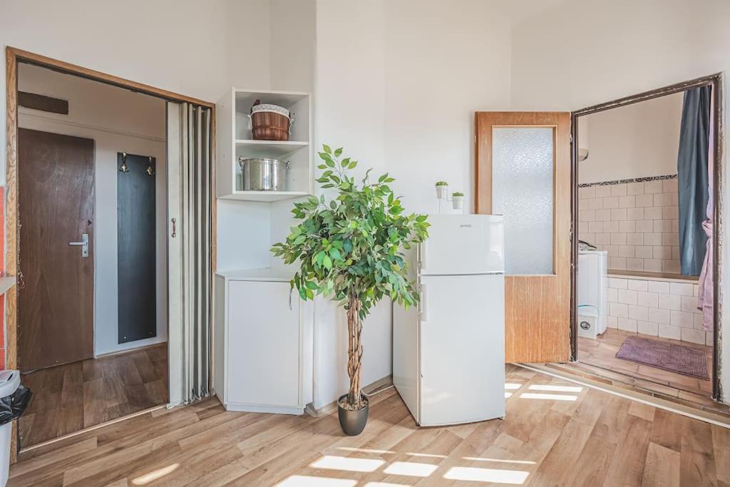 Carolina'S Romantic Apartment Hradec Kralove Exterior foto